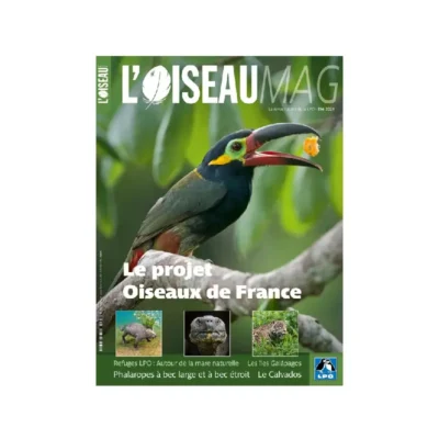 Abonnement L'Oiseau Mag