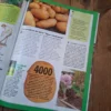 Conseils Potager L'Ami des Jardins Conseils Potager L'Ami des Jardins