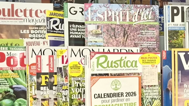 Magazine Loisirs Cadeaux