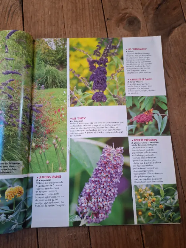 Plantes L'Ami des Jardins
